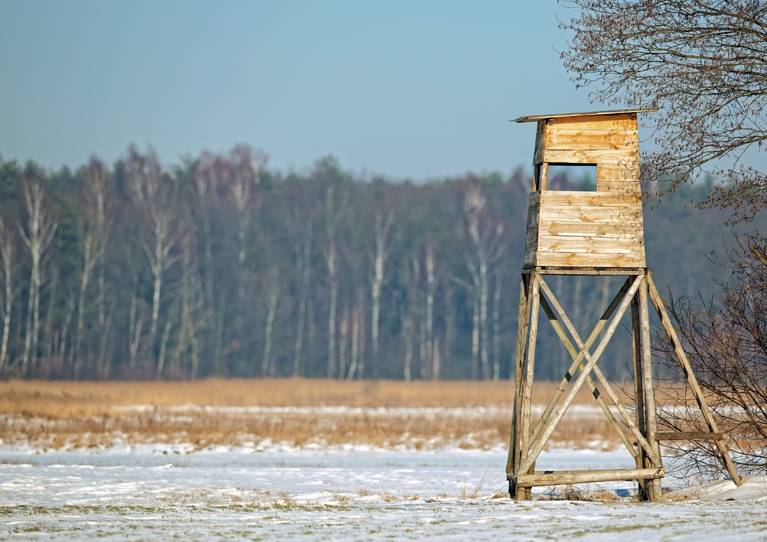 Femmes et chasse au Québec : une passion en pleine croissance