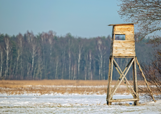 Femmes et chasse au Québec : une passion en pleine croissance